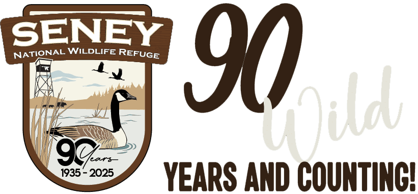 Seney-90-Wild-logo Seney-90-Wild-logo